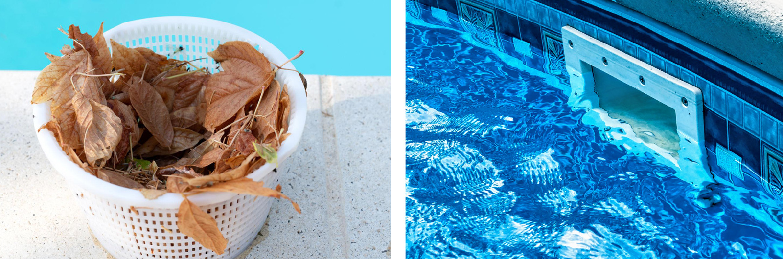 pool cleaning in cupertino