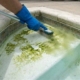 Pool cleaning in San Jose