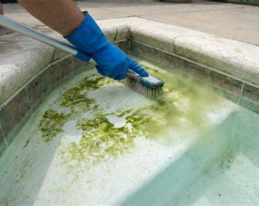 Pool cleaning in San Jose